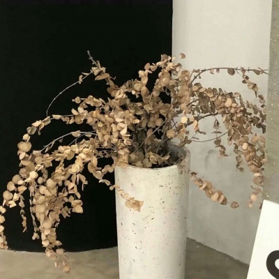 Furry插画创意构思思路兽圈群